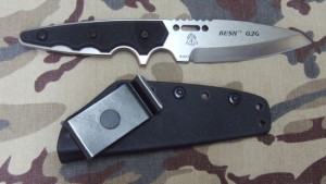 G2G-sheath G2G-sheath